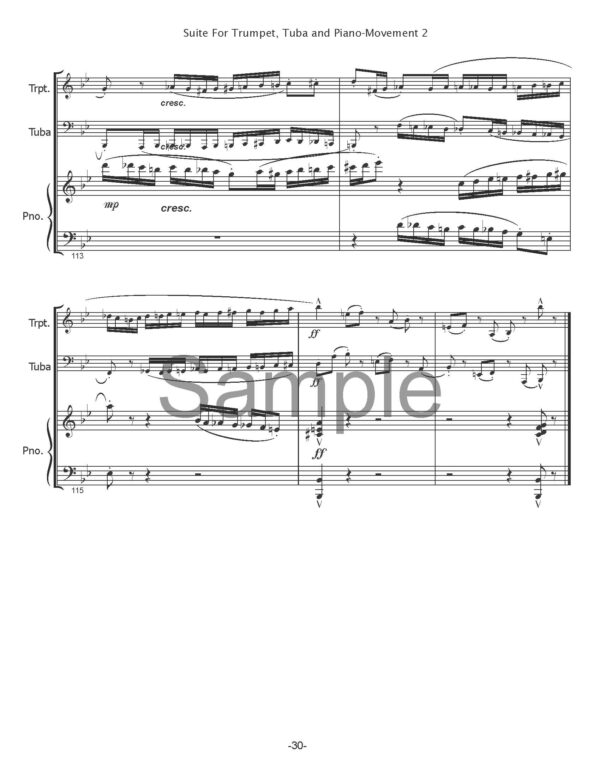 Suite for Trumpet, Tuba and Piano - Image 8