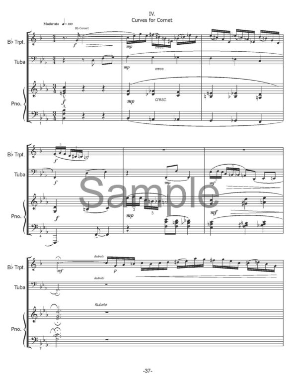 Suite for Trumpet, Tuba and Piano - Image 10