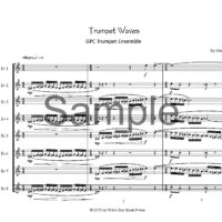 McLean-Trumpet Waves